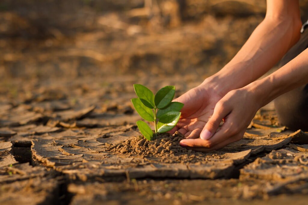 cambio_climatico