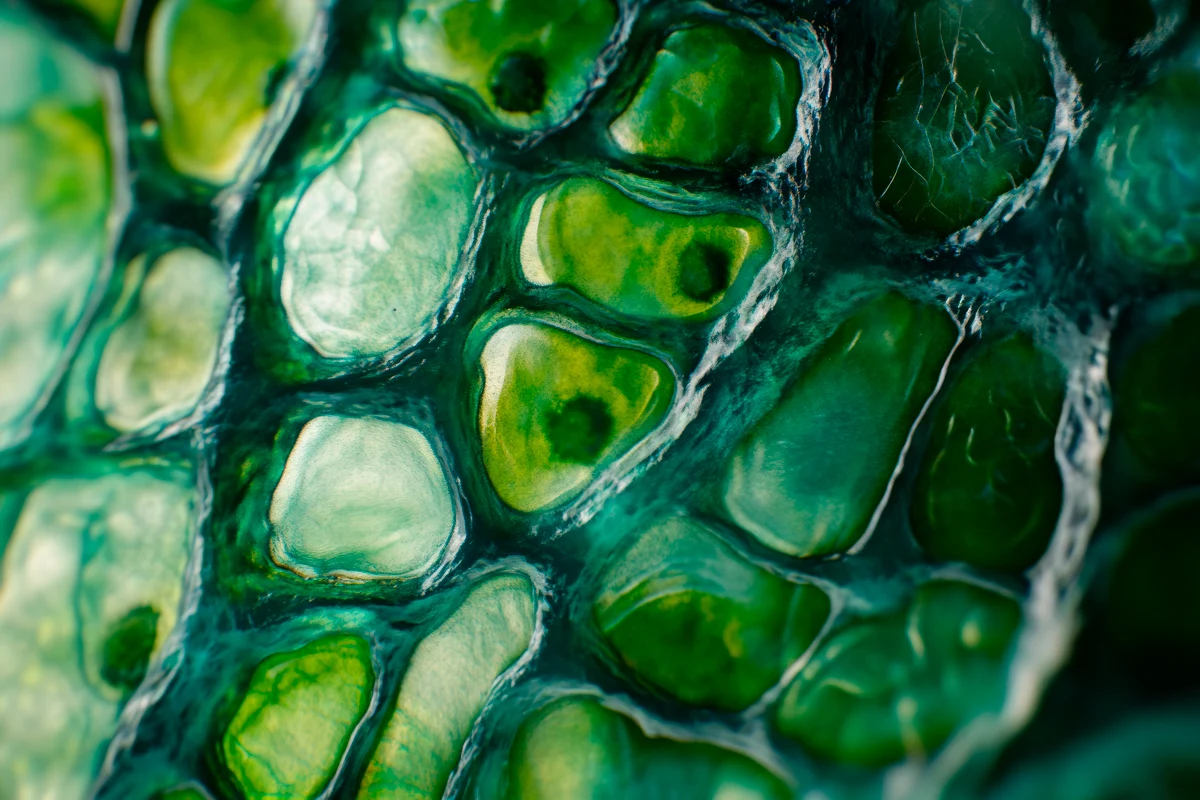 microbiologia_ambiental_image