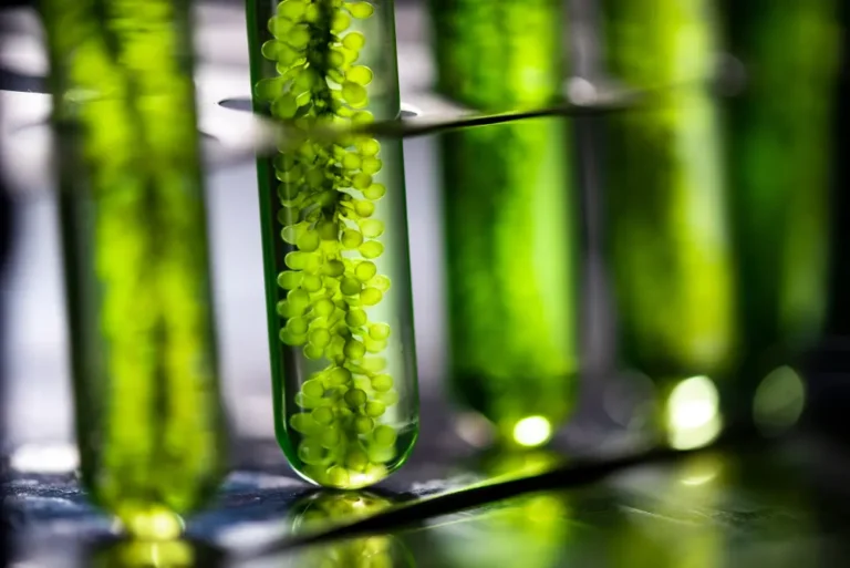biotecnologia-imagen